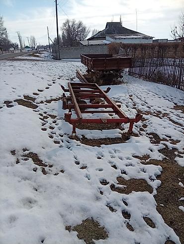 Прицепы и полуприцепы: Прицеп, Самосвал — 4