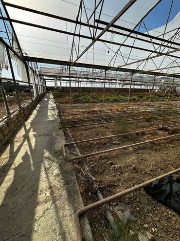 Kommersiya daşınmaz əmlakının satışı: Abseron Rayonu Məhəmmədli Qəsəbəsində Parnik satilir. Torpaq sahəsi 60 -da lalafo.az — 13 Kommersiya daşınmaz əmlakının satışı: Abseron Rayonu Məhəmmədli Qəsəbəsində Parnik satilir. Torpaq sahəsi 60 — 13