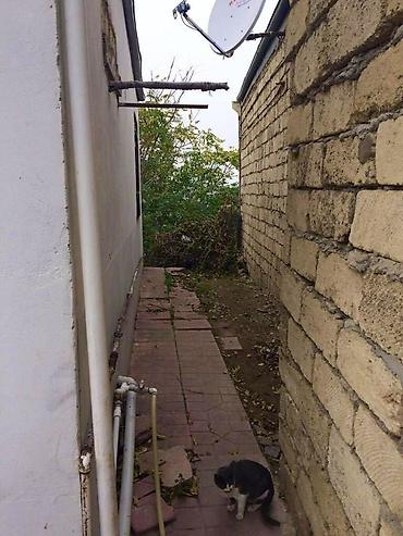 Həyət evləri və villaların satışı: 9-cu mikrorayon 5 otaqlı, 515 kv. m, Təmirsiz — 9