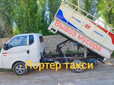 Другие животные: Портер такси портер такси портер такси Портер такси портер такси