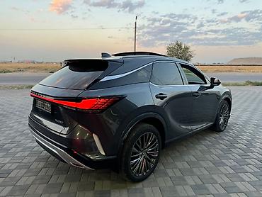 alba: Lexus RX: 2024 г., 0.4 л, Автомат, Бензин, Внедорожник — 6
