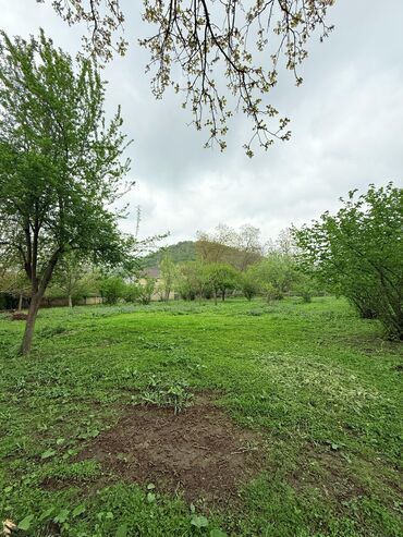 Torpaq sahələrinin satışı: 15 sot, Tikinti, Mülkiyyətçi, Kupça (Çıxarış) — 19