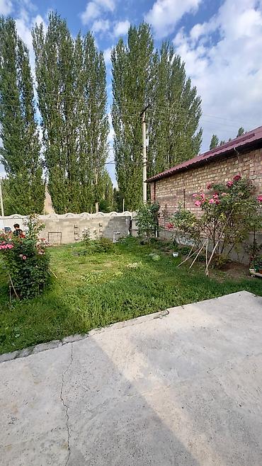 Продажа домов: Продается дом с большим участком в селе Тош-Булак! — 2