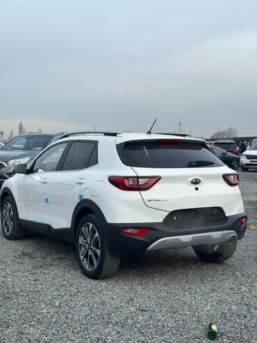 Kia: Kia Stonic: 2019 г., 1.4 л, Автомат, Бензин, Кроссовер — 3