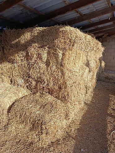 Кормодробилки: Кормоизмельчитель/зернодробилка с электродвигателем - Тип — 15