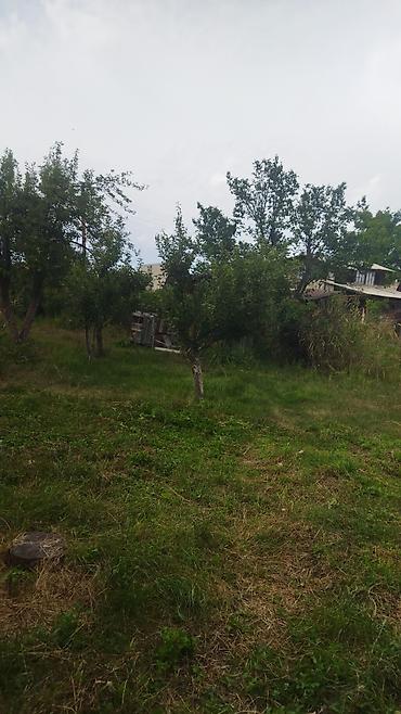 Долгосрочная аренда домов: 65 м², 4 комнаты — 25