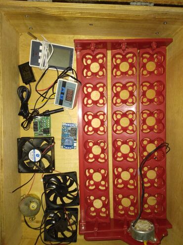 nimo sud sagan qiymeti: Bütün növ quşlaq üçün