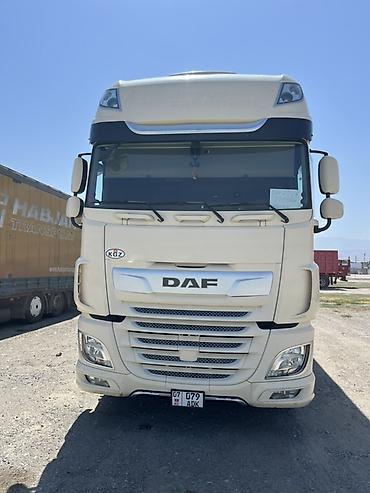 Тягач, DAF, 2019 г., Шторный