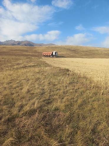 вольво г ош: Самосвал Volvo FM 420 8x4 - Марка/модель: Volvo FM - Мощность: 420 — 3