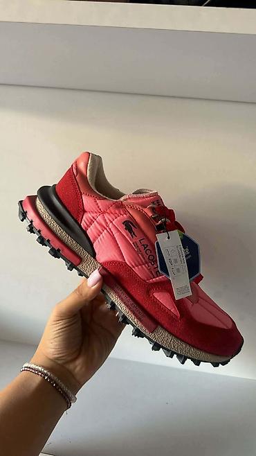 patike na veliko: Lacoste patike od 36 do 44 za samo 5000 din — 5