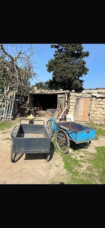 velosiped kaska: Yükdaşıma üçün pedal ilə idarə olunan 3 təkərli velosipedlər və — 2