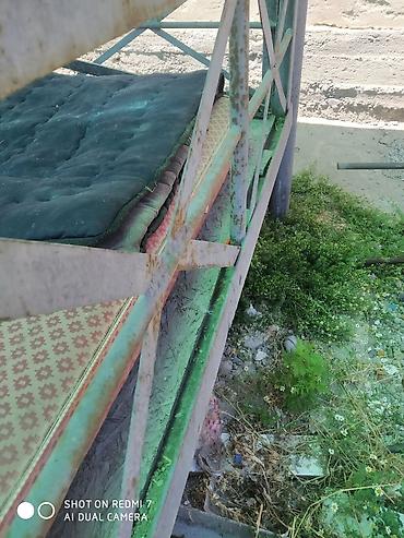 Тапчаны: Тапчан — 11