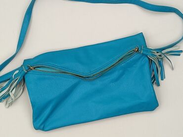 Accessories: Clutch bag, condition - Very good