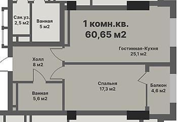 60: 1-комнатная квартира бизнес класса в современном ЖК «Gravity” СК — 2