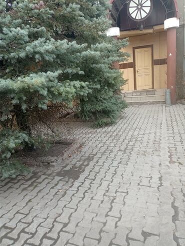 Офисы: Сдается помещение 100кв.м.,26 киловатт, трехфазка, р-н Кызыл -Аскера