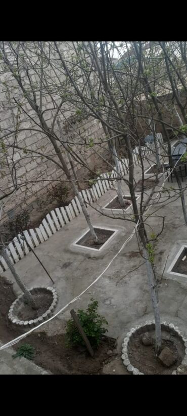 Bağ evlərinin kirayəsi: Ramana qəs., 90 kv. m, 3 otaqlı, Hovuzsuz, Kommunal xətlər qoşulmayıb — 3