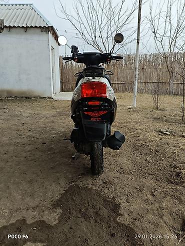 Mopedlər,skuterlər: Satilir pirboru islemir — 9