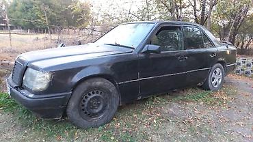 ml w164: Mercedes-Benz W124: 1988 г., 2.6 л, Автомат, Бензин, Седан — 3