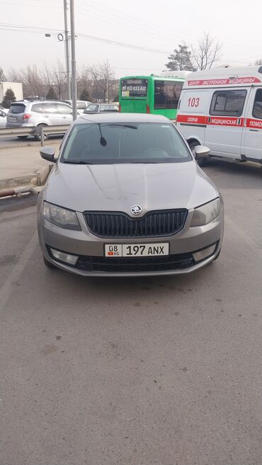 радиатор на опель вектра б: Skoda Octavia: 2016 г., 1.6 л, Механика, Бензин, Хэтчбэк