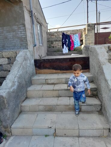 Torpaq sahələrinin satışı: Kənd təsərrüfatı — 8