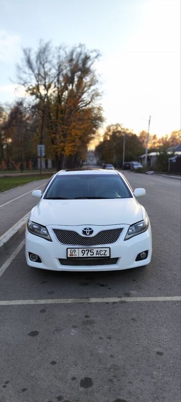 купить тойота хайлендер гибрид: Toyota Camry: 2008 г., 2.4 л, Вариатор, Гибрид, Седан