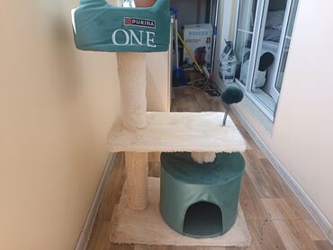 Otaq bitkiləri: İşlədilmiş pişik evi. Sadəcə üstdəki oturacaq yeri sınıqdı. Onunda