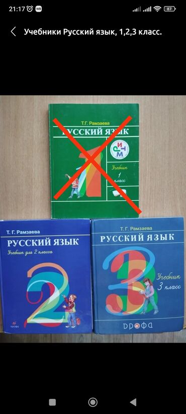chicco polly 2 в 1: Учебники Русский язык 2, 3 класс. Состояние хорошее. По 100 сом