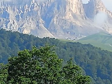 Təbiət mənzərəsi fotoşəkli – dağ silsiləsi və sıx meşə panoraması -