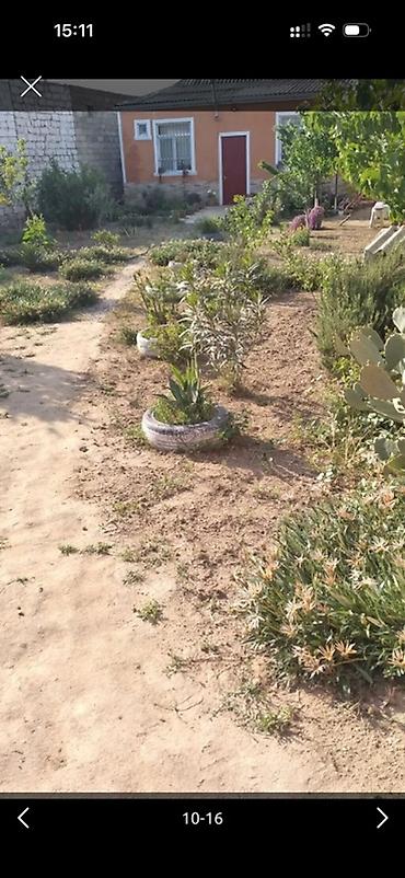 ev və bağ: Həyətyanı sahəsi olan, bir mərtəbəli fərdi yaşayış evi. Ümumi — 10