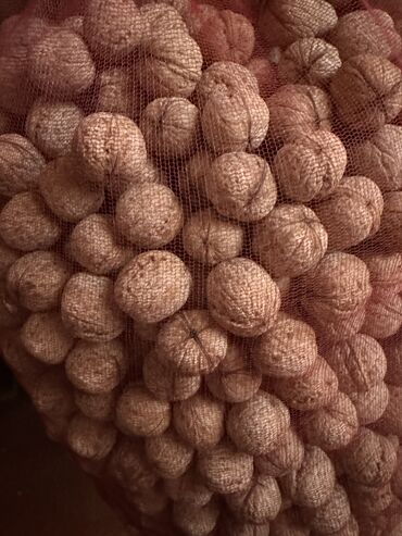 мясной домик бишкек: Грецкий орех в скорлупе. Крупные ядра, без горечи