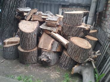 купить дрова в токмаке: Дрова