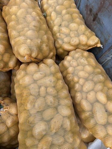 овощная полка для магазина: Картошка Джелли, Чекене