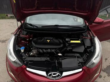 Hyundai: Hyundai Elantra: 1.8 l | 2016 il Sedan — 17