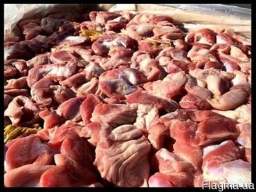 оптом продукта: Куриные желудки в большом объеме(неочищенные)
Куриные продукты
ОПТОМ