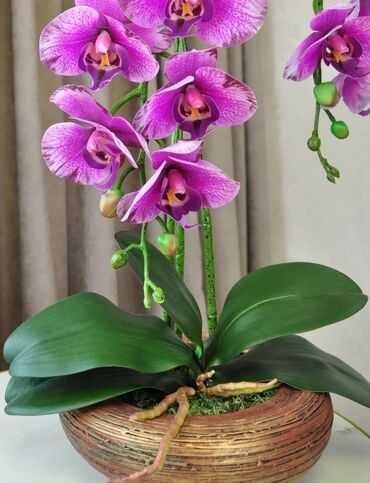 Декоративные цветы: Орхидея искусственная для декора в керамическом горшке Орхидея — 12