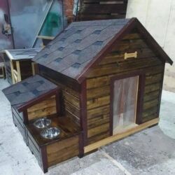 Yuvalar: It və pişik yuvaları — 23