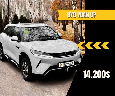 BYD: BYD : 2024 г., 0.1 л, Электромобиль, Кроссовер