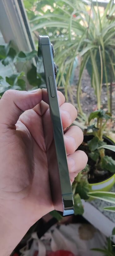 Apple iPhone: Apple iPhone iPhone 13 Pro, Alpine Green, Face ID — 20