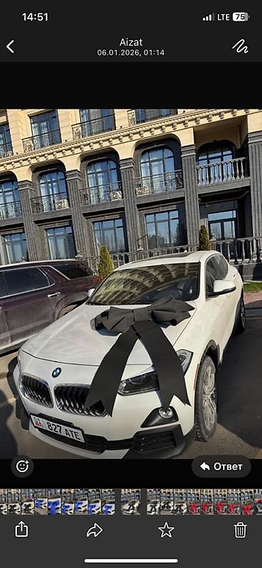 Декоративные ленты и банты: Сдается в аренду Большой праздничный бант на автомобиль цвета — 10