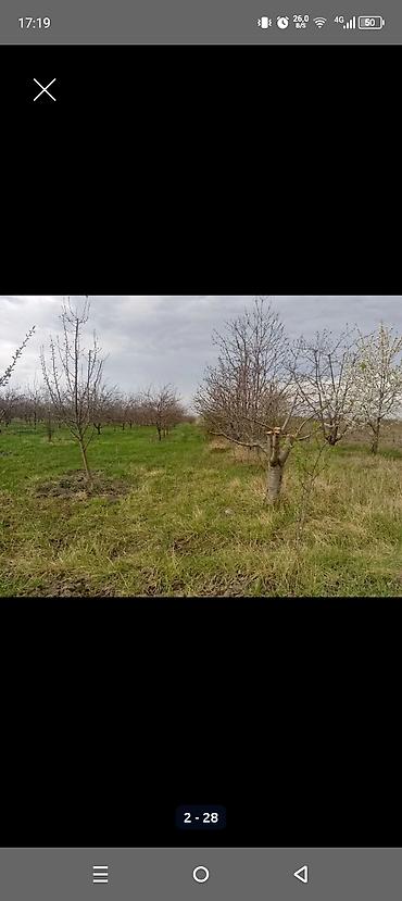 Torpaq sahələrinin satışı: Kənd təsərrüfatı — 1