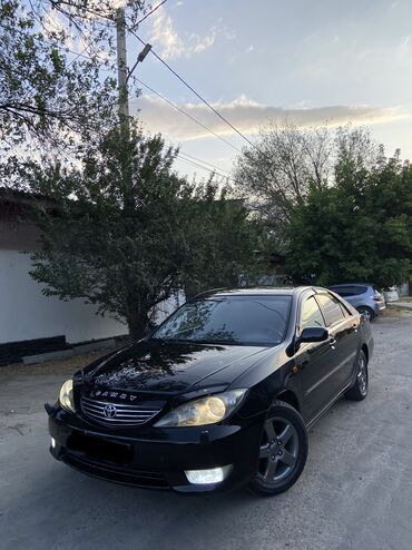 runx alex: Toyota Camry: 2005 г., 3 л, Автомат, Газ, Седан