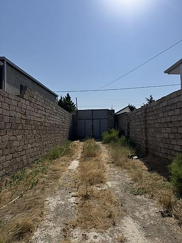 vila evler: Binə 6 otaqlı, 1000 kv. m, Kredit yoxdur, Orta təmir — 1