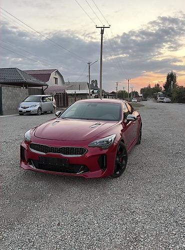 Kia Stinger: 2019 г., 3.3 л, Вариатор, Бензин, Лифтбек