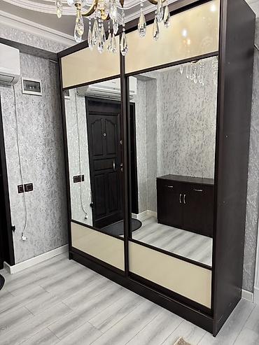 plasmas skaf: Qarderob-dolabı, dəhliz üçün çoxfunksiyalı kupe tipli model - Ölçü — 1