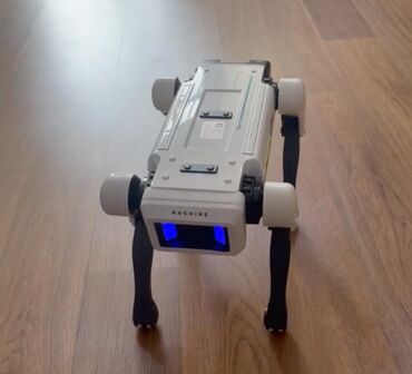 tapança oyuncaq: Ağ və qara rənglərdə, dörd ayaqlı robot it. Bu, evdə və ya ofisdə