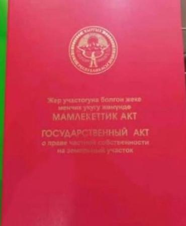 Жер тилкелери: 6 соток, Кызыл китеп — 1