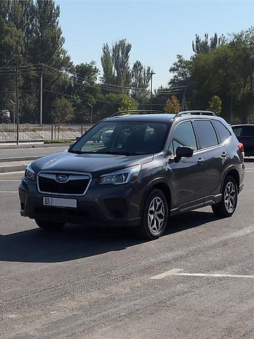 forest: Subaru Forester: 2020 г., 2.5 л, Автомат, Бензин, Кроссовер — 2