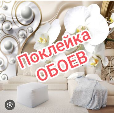 обои клеить бишкек: Обои чаптоо, Эски тушкагаздарды сыйруу | Фото тушкагаздар, Кагаз тушкагаздар, Флизелин тушкагаздар 6 жылдан ашык тажрыйба