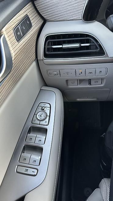 range river: Hyundai Palisade: 2021 г., 2.2 л, Автомат, Дизель, Кроссовер — 4