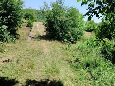 Torpaq sahələrinin satışı: Tikinti — 13